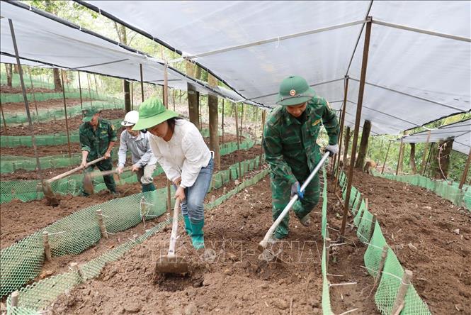 Cán bộ, chiến sĩ hướng dẫn người dân bản Ngài Thầu, xã Sì Lở Lầu làm đất, lên luống trước khi xuống giống. Ảnh: Quý Trung - TTXVN