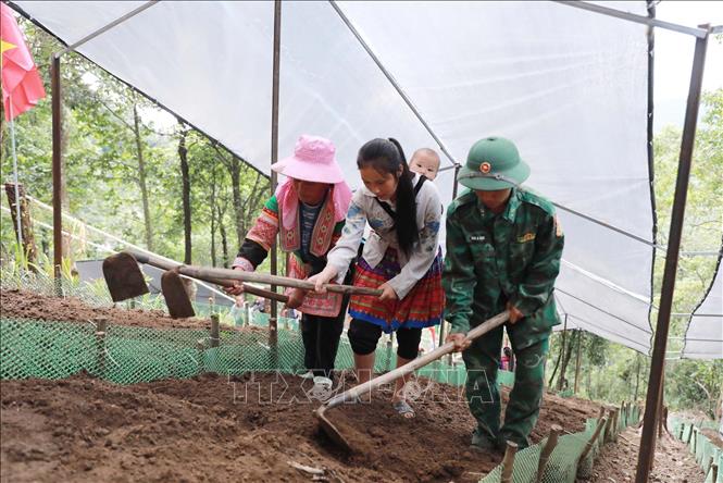 Cán bộ, chiến sĩ hướng dẫn người dân bản Ngài Thầu, xã Sì Lở Lầu làm đất, lên luống trước khi xuống giống. Ảnh: Quý Trung - TTXVN