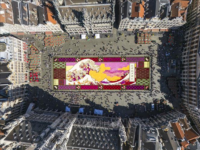 Toàn cảnh Thảm Hoa Brussels 2026 nhìn từ trên cao với tác phẩm Neo Hokusai. Ảnh: Lan Anh - Duy Tùng, PV TTXVN tại Bỉ