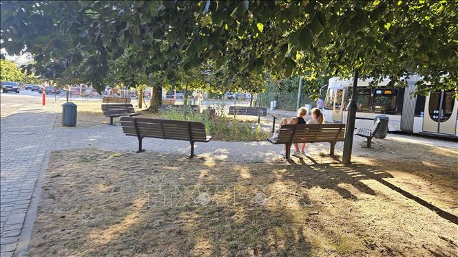 Người dân tìm bóng mát dưới tán cây bên đường tàu điện tại Brussels trong ngày 13/8/2026, ngày nóng nhất lịch sử Bỉ với nhiệt độ lên tới 34,6°C. Ảnh: Lan Anh - Duy Tùng, PV TTXVN tại Bỉ