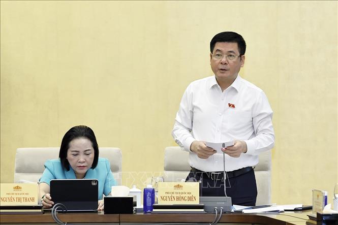 Phó Chủ tịch Quốc hội Nguyễn Hồng Diên phát biểu. Ảnh: Doãn Tấn - TTXVN