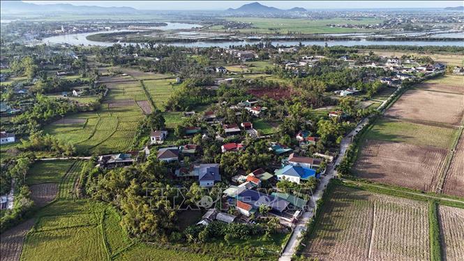 Ổ dịch lở mồm long móng được phát hiện tại thôn Nam Sơn, xã Thạch Hà (Hà Tĩnh) vào ngày 11/8. Ảnh: Hữu Quyết - TTXVN