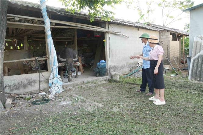 Cán bộ xã Thạch Hà (Hà Tĩnh) kiểm tra, hướng dẫn người dân thôn Nam Sơn thực hiện các biện pháp khống chế ổ dịch lở mồm long móng. Ảnh: Hữu Quyết - TTXVN
