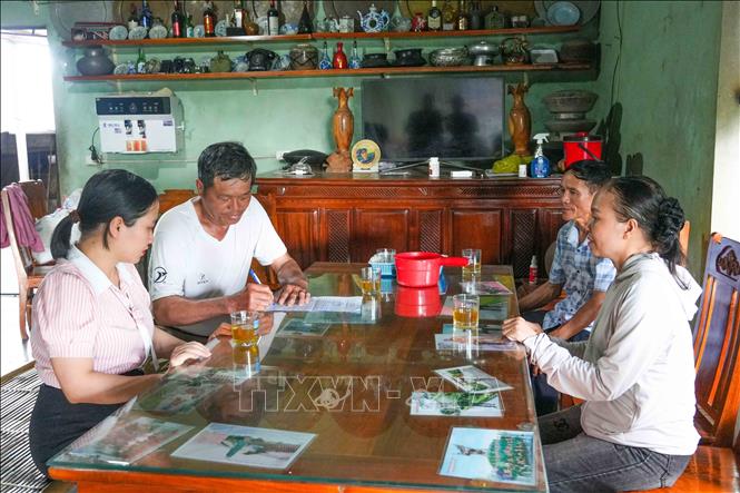 Các hộ chăn nuôi tại thôn Nam Sơn (Hà Tĩnh) ký cam kết thực hiện nghiêm các biện pháp phòng, chống dịch lở mồm long móng. Ảnh: Hữu Quyết - TTXVN