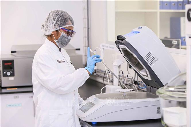 Nestlé áp dụng Hệ thống Quản lý Chất lượng trên toàn cầu, với quy trình kiểm soát an toàn và chất lượng nghiêm ngặt. Công tác đánh giá, kiểm tra được thực hiện xuyên suốt nhằm bảo đảm sản phẩm đáp ứng các yêu cầu về an toàn thực phẩm theo quy định hiện hành và các tiêu chuẩn quốc tế. Ảnh: Hoàng Hiếu - TTXVN