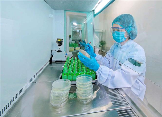 Nestlé áp dụng Hệ thống Quản lý Chất lượng trên toàn cầu, với quy trình kiểm soát an toàn và chất lượng nghiêm ngặt. Công tác đánh giá, kiểm tra được thực hiện xuyên suốt nhằm bảo đảm sản phẩm đáp ứng các yêu cầu về an toàn thực phẩm theo quy định hiện hành và các tiêu chuẩn quốc tế. Ảnh: Hoàng Hiếu - TTXVN