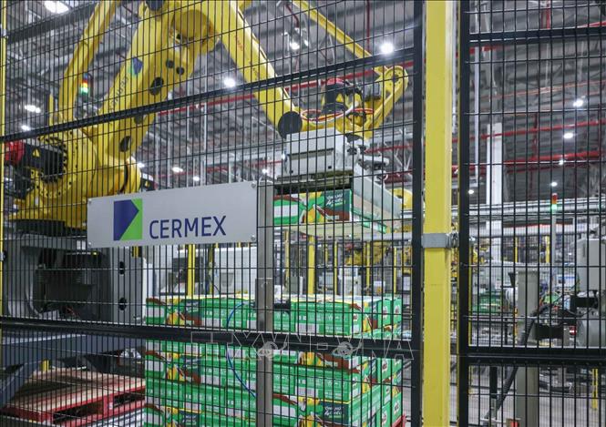 Công ty đầu tư hệ thống cánh tay robot xếp pallet tự động giúp vận chuyển chính xác các hộp sản phẩm, bứt phá năng suất lao động, đảm bảo chất lượng sản phẩm. Ảnh: Hoàng Hiếu - TTXVN
