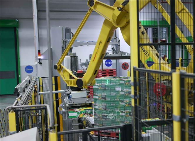 Công ty đầu tư hệ thống các cánh tay robot xếp pallet tự động giúp vận chuyển chính xác các hộp sản phẩm, bứt phá năng suất lao động, đảm bảo chất lượng sản phẩm. Ảnh: Hoàng Hiếu - TTXVN