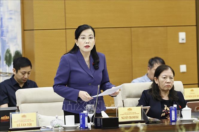 Chủ nhiệm Ủy ban Khoa học, Công nghệ và Môi trường của Quốc hội Nguyễn Thanh Hải phát biểu. Ảnh: Doãn Tấn - TTXVN
