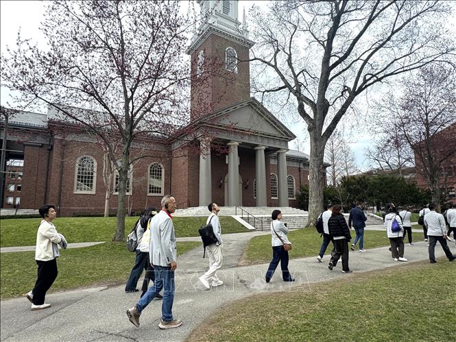 Khách tham quan trong khuôn viên Đại học Harvard. Trường đại học này hiện là tâm điểm trong cuộc tranh luận tại Mỹ về tự do học thuật, an toàn sinh viên và trách nhiệm của các trường đại học đối với tình trạng bài Do Thái. Ảnh: Đoàn Hùng - PV TTXVN tại Mỹ