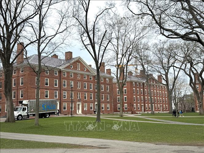 Một góc khuôn viên Đại học Harvard tại Cambridge, Massachusetts. Harvard là một trong những trường đại học hàng đầu của Mỹ và là mục tiêu chính trong chiến dịch của chính quyền Tổng thống Trump nhằm tăng cường giám sát các cơ sở giáo dục đại học. Ảnh: Đoàn Hùng - PV TTXVN tại Mỹ