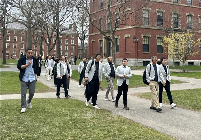 Một đoàn khách tham quan đi qua khuôn viên Đại học Harvard ở Cambridge, Massachusetts. Ảnh: Đoàn Hùng - PV TTXVN tại Mỹ