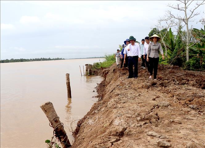 Phó Chủ tịch UBND tỉnh Vĩnh Long Châu Văn Hòa cùng các ngành khảo sát tại khu vực sạt lở cồn Thanh Long, xã Quới Thiện. Ảnh: Lê Thúy Hằng – TTXVN