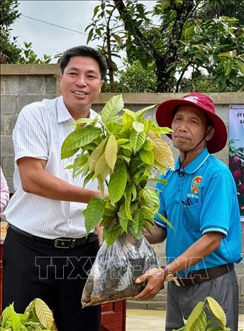 Bí thư Đảng ủy xã Bù Gia Mập Lê Hoàng Nam giao cây ca cao giống cho hộ đồng bào thiểu số. Ảnh: K GỬIH-TTXVN 
