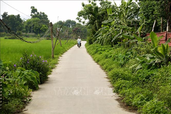 Đường giao thông nông thôn khang trang, sạch đẹp giữa đồng ruộng, góp phần hoàn thiện hạ tầng giao thông cơ sở. Ảnh: Đồng Thúy - TTXVN