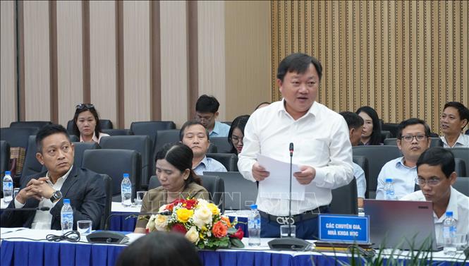 Đại biểu nêu ý kiến đóng góp tại hội thảo. Ảnh: Cao Nguyên - TTXVN