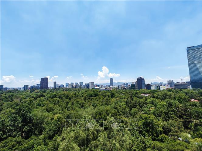 Toàn cảnh Mexico City nhìn từ lâu đài Chapultepec, với công viên và các khu vực đô thị trải rộng phía dưới. Ảnh: Phương Lan - PV TTXVN tại Mexico 