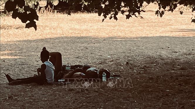 Có những ngày Hè, thứ xa xỉ nhất chỉ là một mảng bóng mát. Ảnh: Hương Giang - PV TTXVN tại Anh