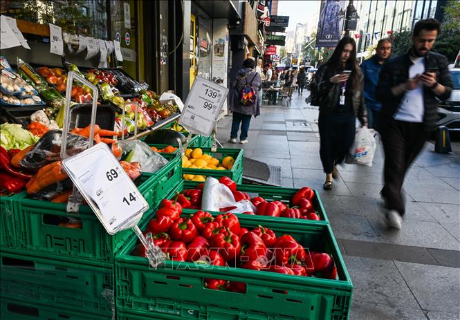 Thực phẩm được bày bán tại một cửa hàng ở Istanbul, Thổ Nhĩ Kỳ. Ảnh: THX/TTXVN phát