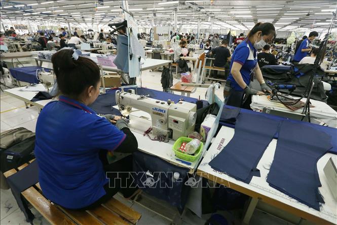 Công nhân Công ty may Nhà Bè, Cụm Công nghiệp Vị Thanh, thành phố Cần Thơ sản xuất sản phẩm xuất khẩu. Ảnh: Duy Khương – TTXVN

