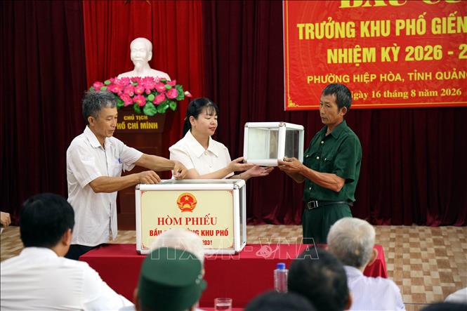 Đại diện cử tri hộ gia đình khu phố Giếng Khe, phường Hiệp Hòa, tỉnh Quảng Ninh cùng kiểm tra hòm phiếu trước khi bầu cử. Ảnh: Đức Hiếu - TTXVN