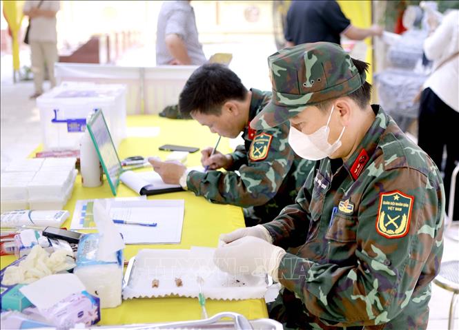 Việc lấy mẫu hài cốt liệt sĩ được tiến hành đúng quy trình kỹ thuật tại Nghĩa trang liệt sĩ Hợp Lý, xã Hợp Lý. Ảnh: Hoàng Hùng - TTXVN