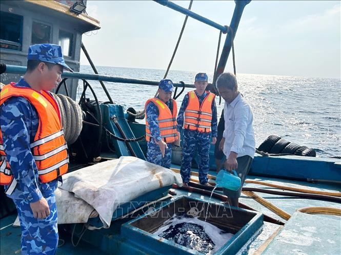 Lực lượng chức năng Bộ Tư lệnh Vùng Cảnh sát biển 4 kiểm tra hàng hóa trên tàu TG 91467-TS. Ảnh: Bá Hưng -TTXVN phát