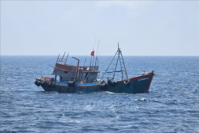 Tàu TG 91467-TS vận chuyển trái phép khoảng 130.000 lít dầu D.O trên vùng biển Tây Nam.
Ảnh: Bá Hưng -TTXVN phát