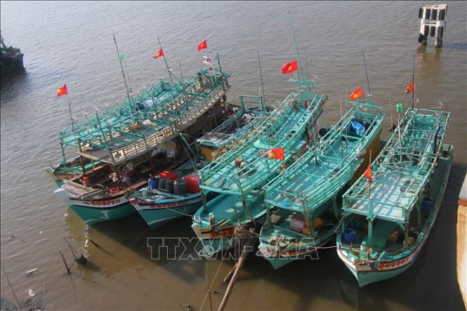 Cà Mau là địa phương có lượng tàu thuyền khai thác thủy hải sản lớn của cả nước. Ảnh: Chanh Đa-TTXVN