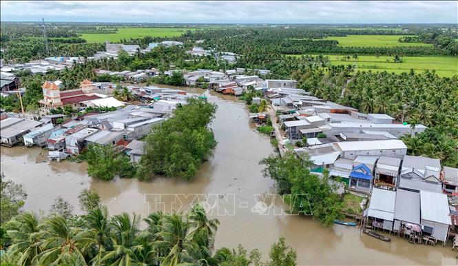  Rạch Mang Cá chảy qua trung tâm xã Đại Hải, thành phố Cần Thơ xuất hiện nhiều điểm sạt lở nghiêm trọng đe dọa khu dân cư. Ảnh: Thanh Liêm - TTXVN
