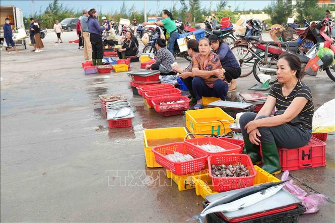 Hoạt động mua bán hải sản tại cảng cá Cửa Nhượng (xã Thiên Cầm, tỉnh Hà Tĩnh). Ảnh: Hữu Quyết – TTXVN 