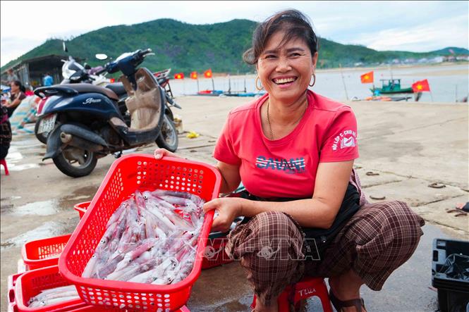 Những mẻ mực tươi ngon là thành quả sau nhiều giờ vươn khơi bám biển của ngư dân Cửa Nhượng. Ảnh: Hữu Quyết – TTXVN 