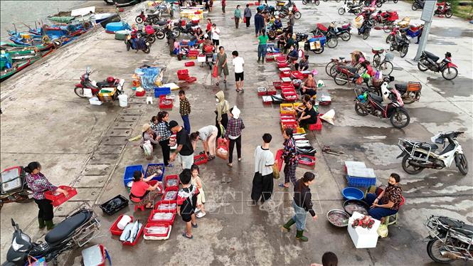 Hoạt động mua bán, thu mua hải sản tại cảng cá Cửa Nhượng. Ảnh: Hữu Quyết – TTXVN 
