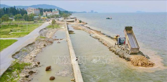Tỉnh Thanh Hoá đang gấp rút đẩy nhanh tiến độ thi công các công trình, dự án khắc phục hậu quả thiên tai xảy ra trong năm 2025, nhất là những tuyến đê, kè xung yếu. Ảnh: Hoa Mai - TTXVN