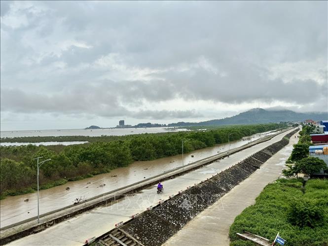 13km đê biển của xã Vạn Lộc đã được kè, lát mái, mặt đê được kiên cố bằng bê tông kiên cố. Ảnh: Hoa Mai – TTXVN