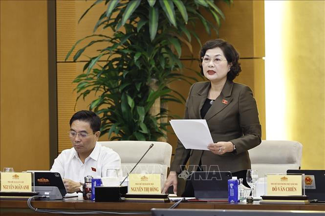 Phó Chủ tịch Quốc hội Nguyễn Thị Hồng phát biểu. Ảnh: Doãn Tấn - TTXVN