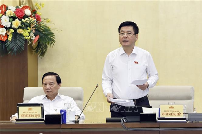 Phó Chủ tịch Quốc hội Nguyễn Hồng Diên phát biểu. Ảnh: Doãn Tấn - TTXVN
