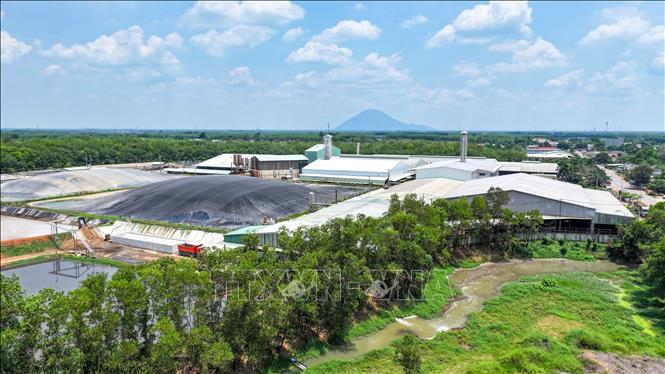 Hệ thống xử lý nước thải của doanh nghiệp sản xuất tinh bột sắn tại xã Tân Châu, tỉnh Tây Ninh. Ảnh: Minh Phú - TTXVN