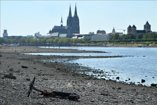 Mực nước sông Rhine ở Cologne, Đức xuống thấp nghiêm trọng, ngày 10/8/2026. Ảnh: THX/TTXVN phát