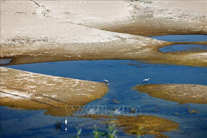 Mực nước sông Danube ở Rasova, Romania xuống thấp nghiêm trọng, ngày 5/8/2026. Ảnh: THX/TTXVN phát
