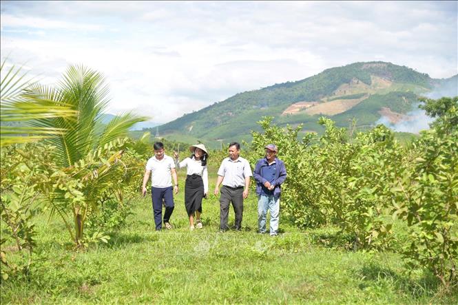 Nông trại Phạm văn Đồng trở thành điểm đến hấp dẫn của nhiều du khách. Ảnh: Đinh Hương - TTXVN