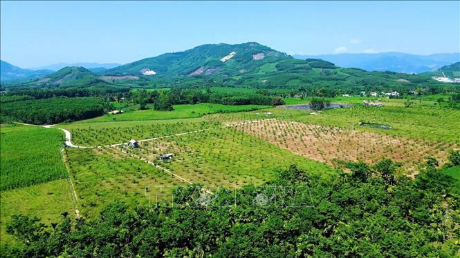 Nông trại Phạm Văn Đồng nhìn từ trên cao. Ảnh: TTXVN phát