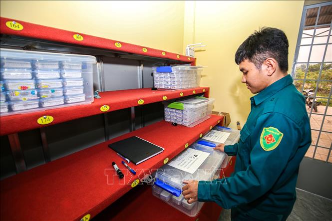 Mẫu hài cốt sau khi lấy được xử lý, bảo quản theo quy định để phục vụ giám định ADN. Ảnh: Giang Phương - TTXVN