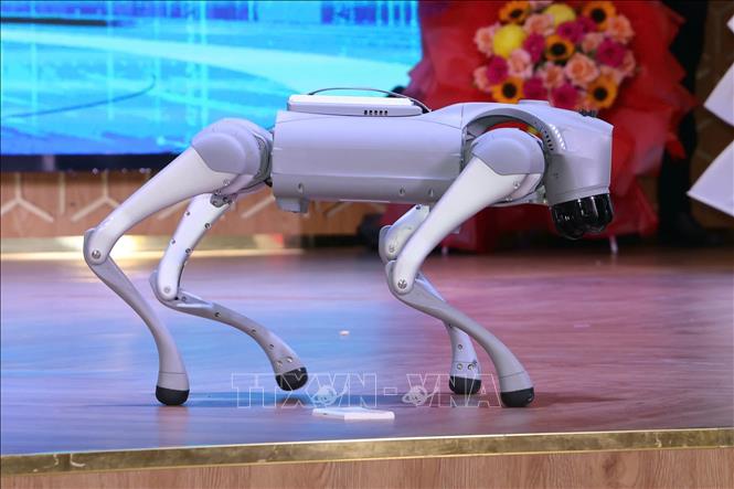 Biểu diễn mô hình chó robot. Ảnh: Ánh Tuyết - TTXVN