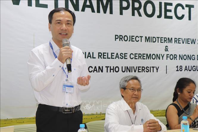 TS. Lê Văn Lâm, Phó Giám đốc Đại học Cần Thơ nhận định, Dự án BOLD Rice Vietnam là bước khởi đầu quan trọng ở khâu chọn tạo giống. Ảnh: Thu Hiền – TTXVN