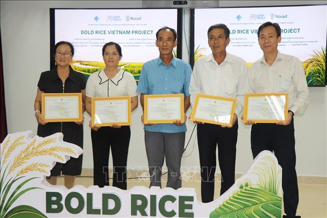 Đại diện nhóm nghiên cứu nhận bằng bảo hộ các giống lúa Nông Dân 1, Nông Dân 2, Nông Dân 20 và Nông Dân 26 được Cục Trồng trọt và Bảo vệ thực vật cấp. Ảnh: Thu Hiền - TTXVN