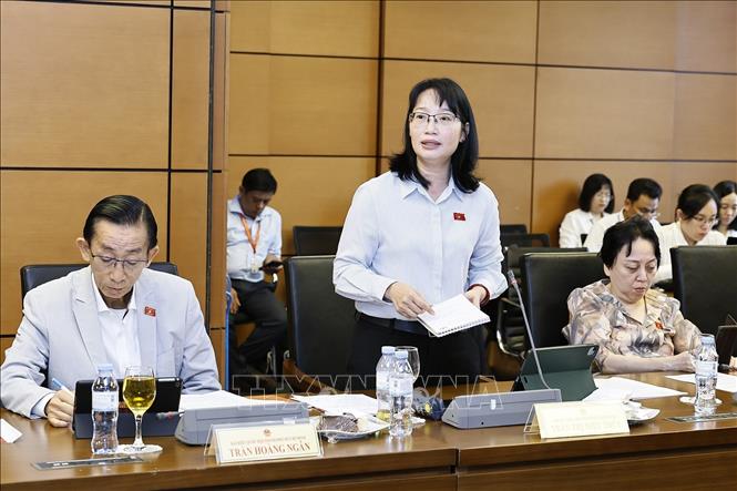 Đại biểu Quốc hội TP Hồ Chí Minh Trần Thị Diệu Thuý phát biểu. Ảnh: Doãn Tấn - TTXVN