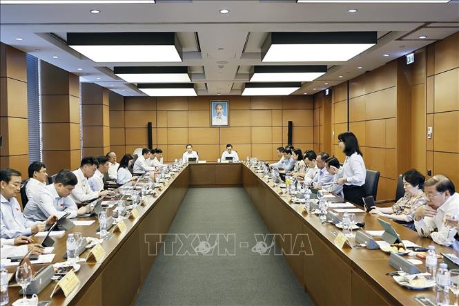 Đoàn đại biểu Quốc hội TP Hồ Chí Minh thảo luận ở tổ. Ảnh: Doãn Tấn - TTXVN