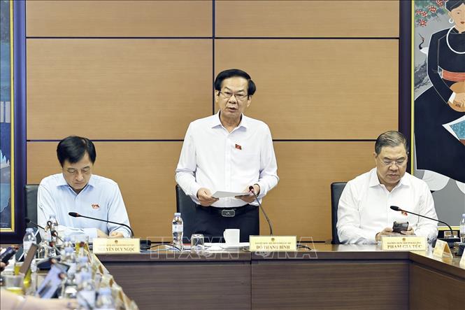 Đại biểu Quốc hội TP Cần Thơ Đỗ Thanh Bình phát biểu. Ảnh: Doãn Tấn - TTXVN