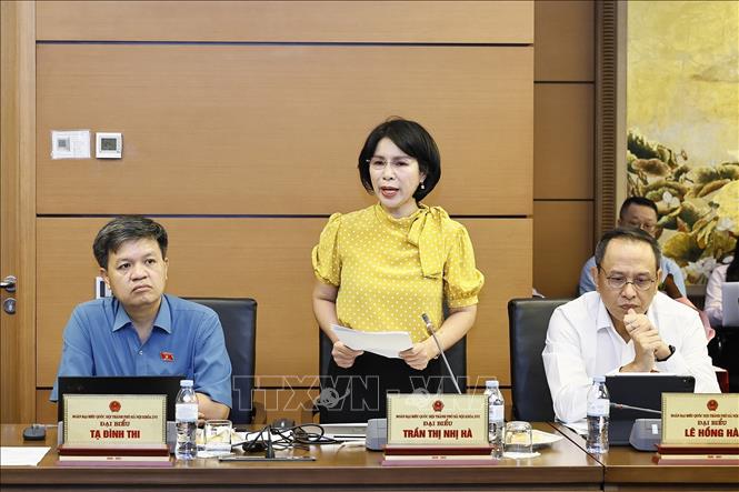 Đại biểu Quốc hội TP Hà Nội Trần Thị Nhị Hà phát biểu. Ảnh: Doãn Tấn - TTXVN